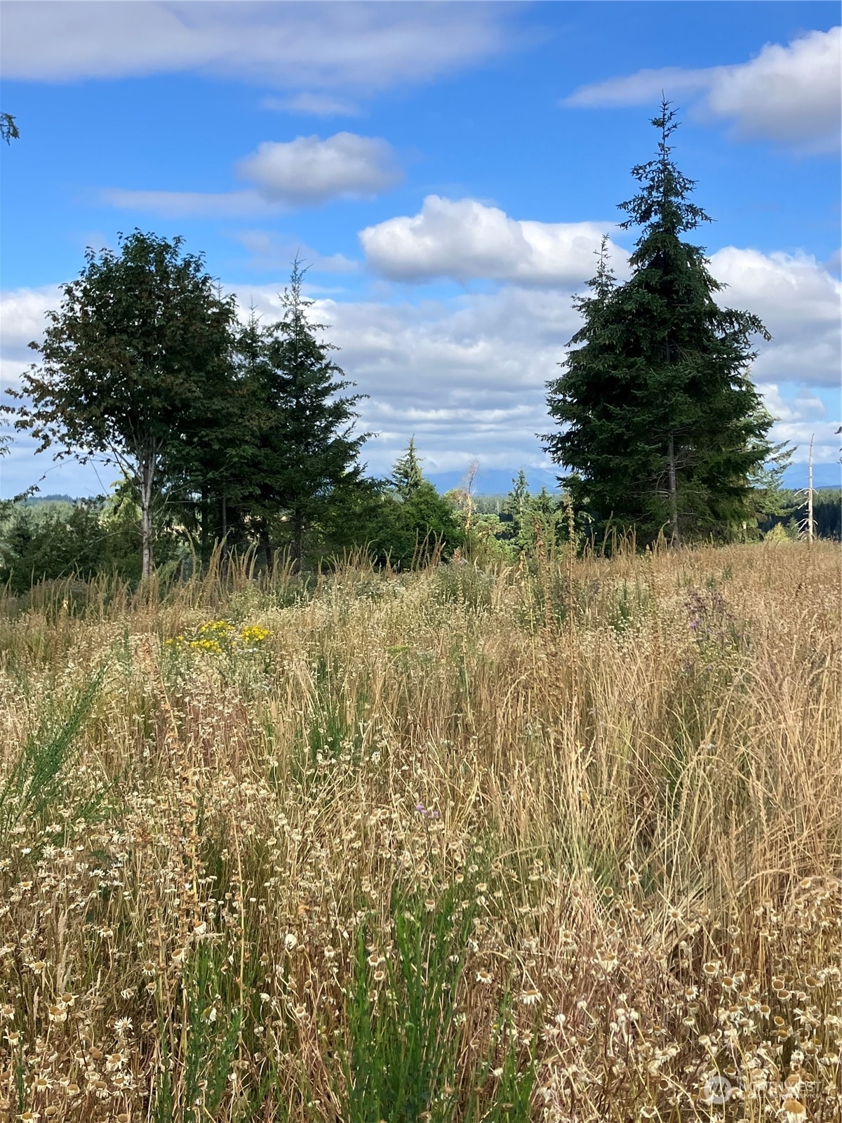 5 E Lone Fir Drive Drive E #Div 2, Shelton, WA 98584