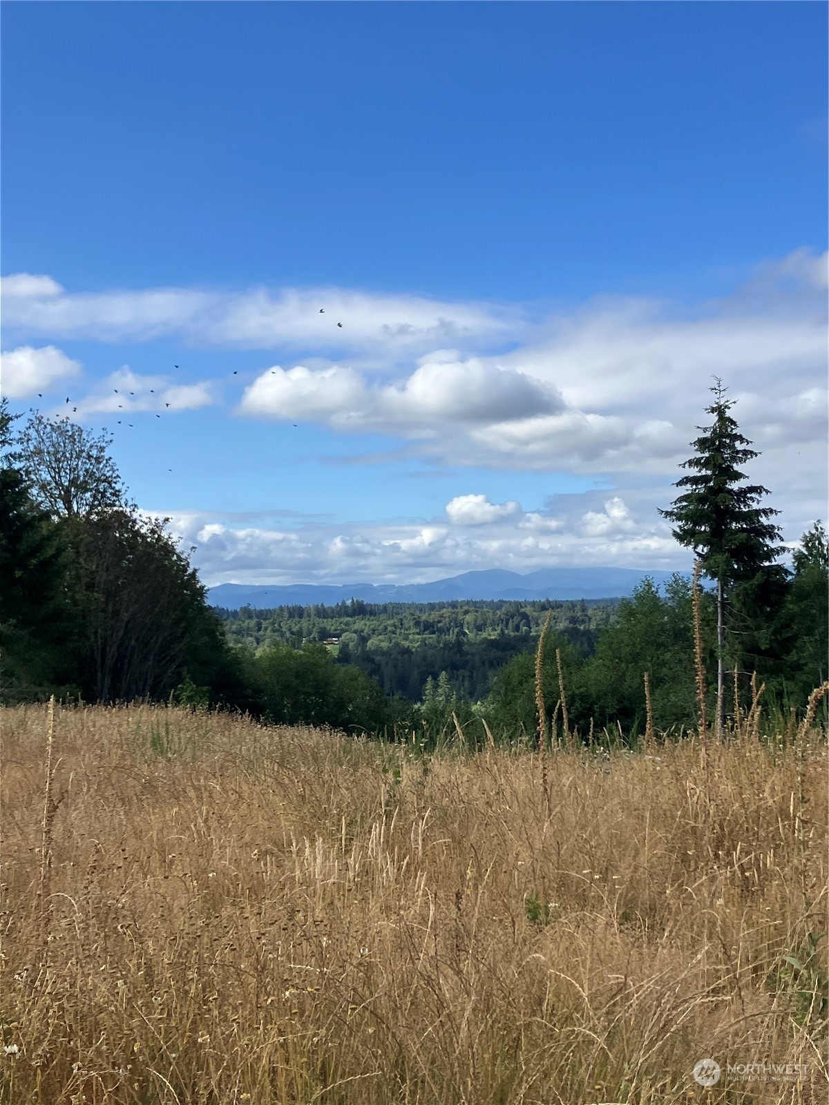 5 E Lone Fir Drive Drive E #Div 2, Shelton, WA 98584