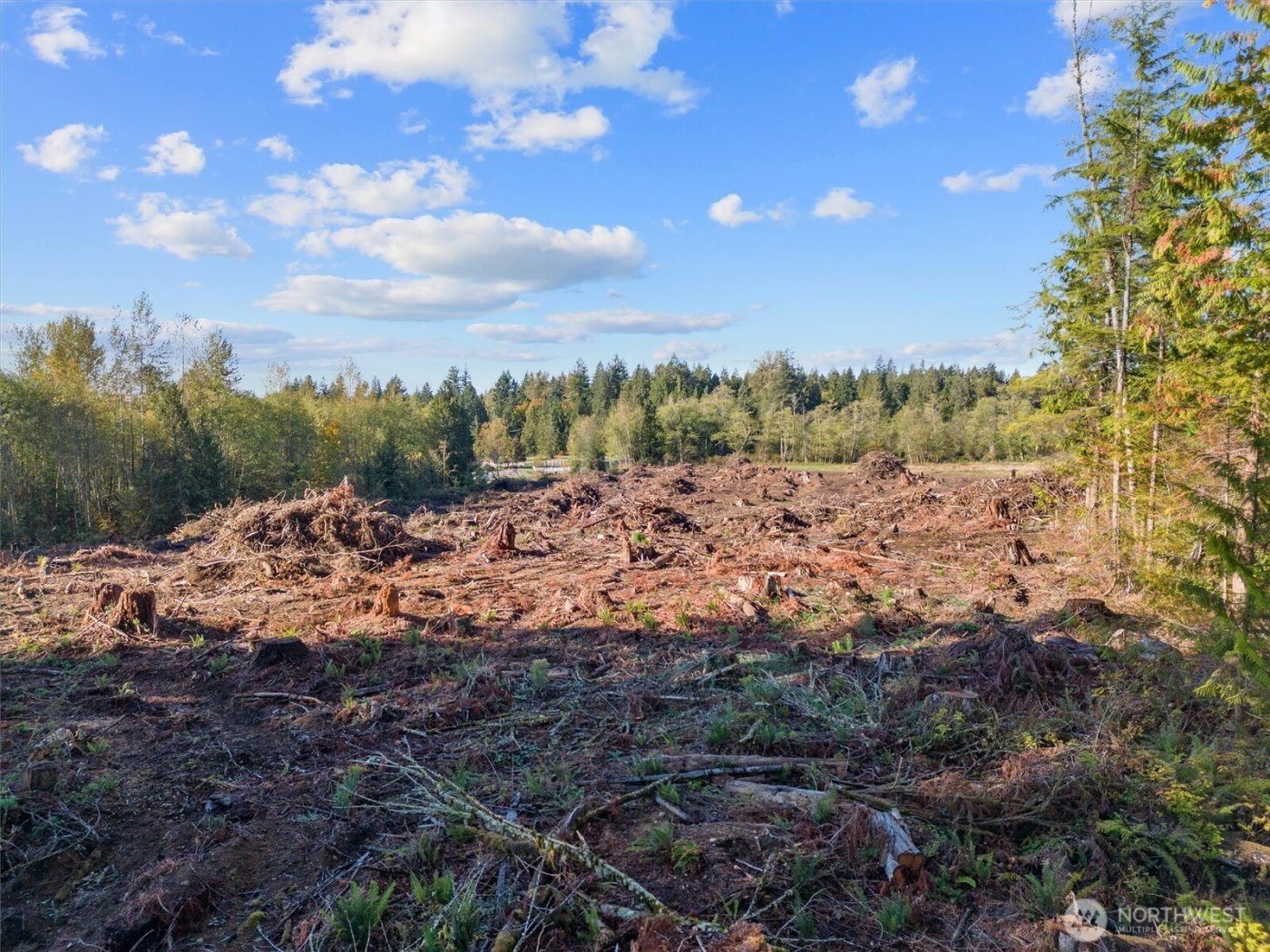 0 288th Street NE, Stanwood, WA 98292