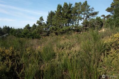 606 W Claymore Lane , Westport, WA 98595 - Photo 7