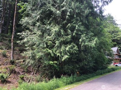 8 Twin Flower Circle , Bellingham, WA 98229 - Photo 2