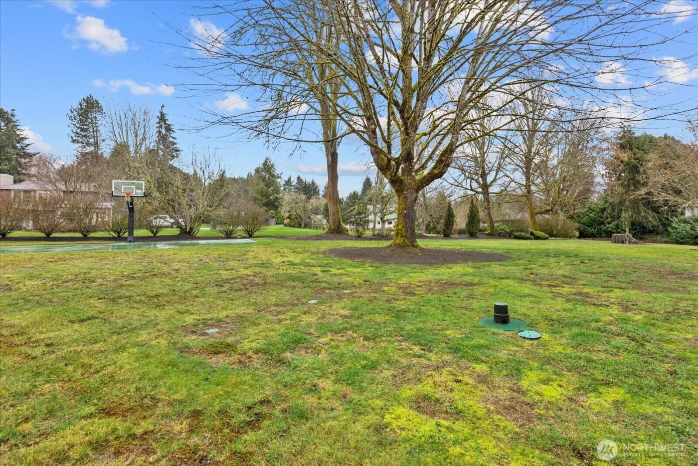 12319 181st Court NE, Redmond, WA 98052