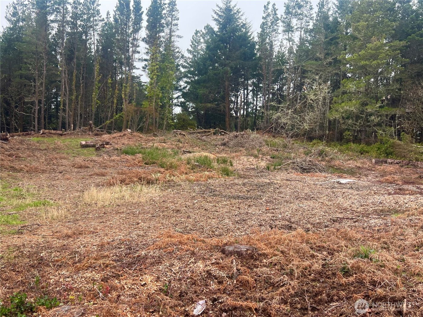 1301 178th Place W, Long Beach, WA 98631