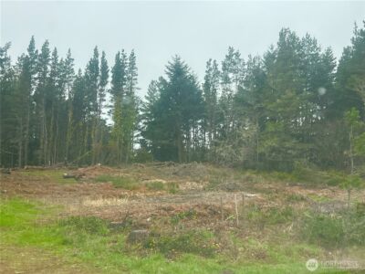 1301 178th Place W, Long Beach, WA 98631 - Photo 11