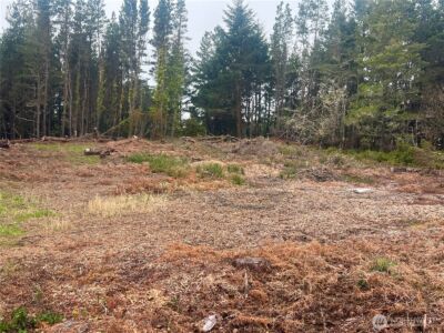 1301 178th Place W, Long Beach, WA 98631 - Photo 2