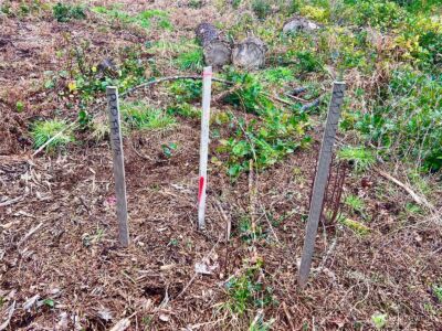 1301 178th Place W, Long Beach, WA 98631 - Photo 4