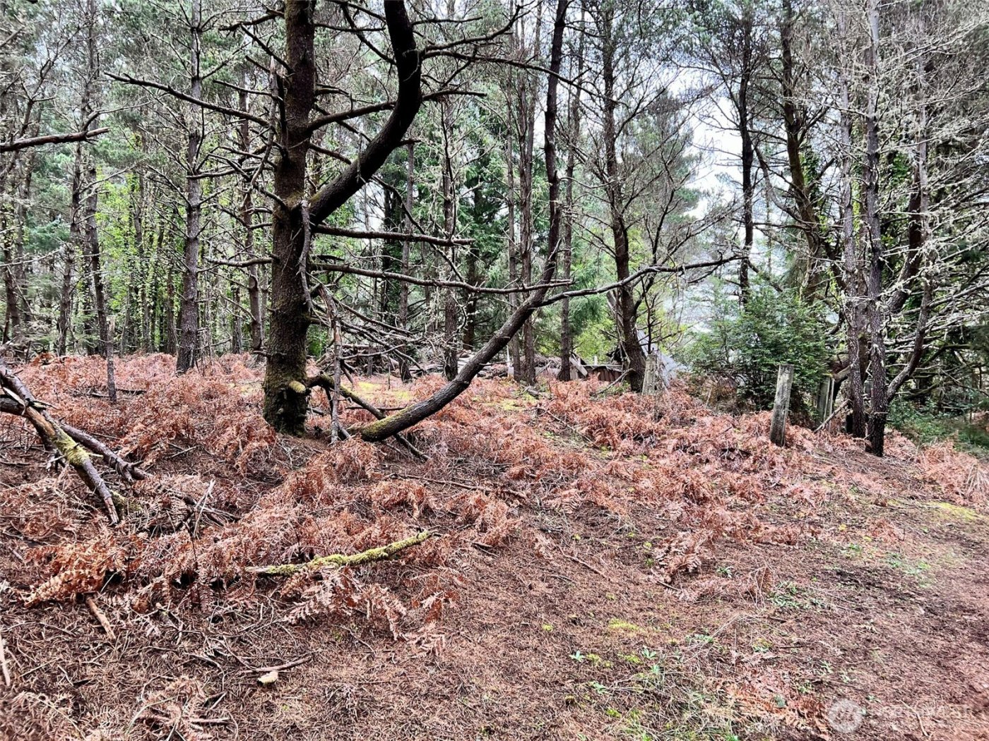 1301 178th Place W, Long Beach, WA 98631