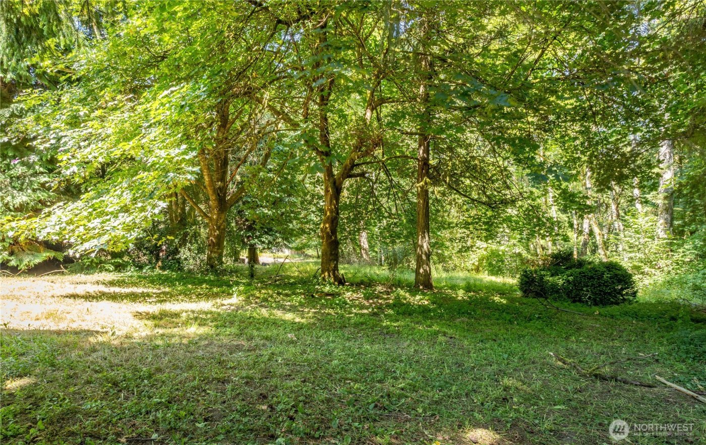 111 Spring Court , Vader, WA 98593