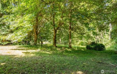 111 Spring Court , Vader, WA 98593 - Photo 5