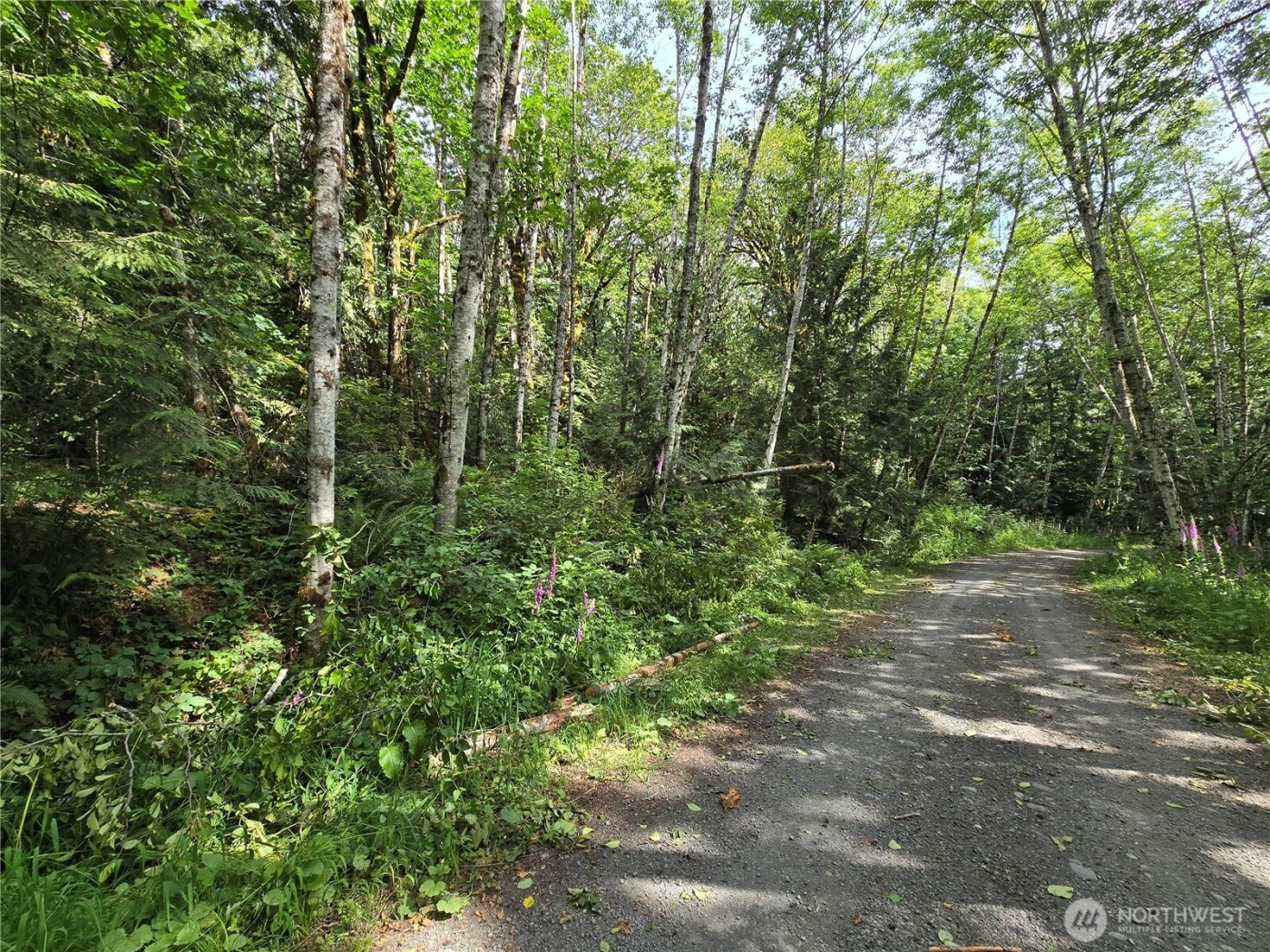 0 XXX Triton Heights Road , Lilliwaup, WA 98555