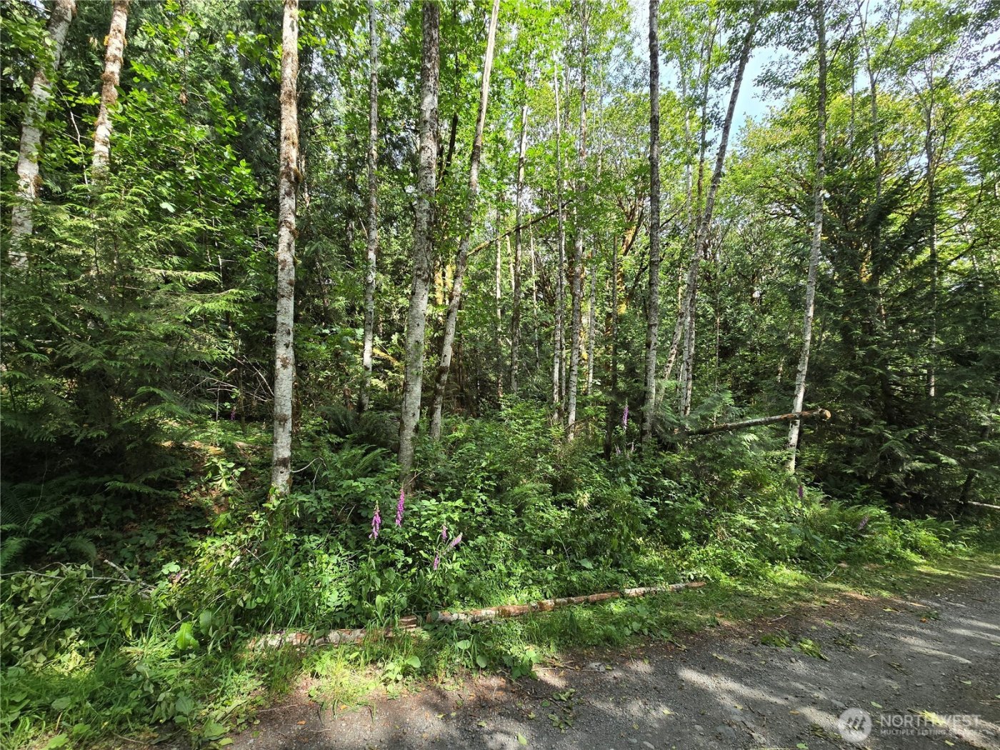 0 XXX Triton Heights Road , Lilliwaup, WA 98555