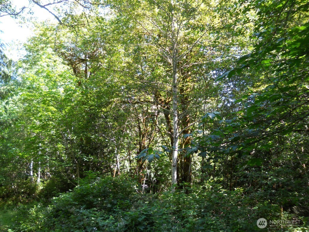 0 XXX Triton Heights Road , Lilliwaup, WA 98555