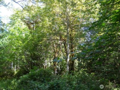 0 XXX Triton Heights Road , Lilliwaup, WA 98555 - Photo 16