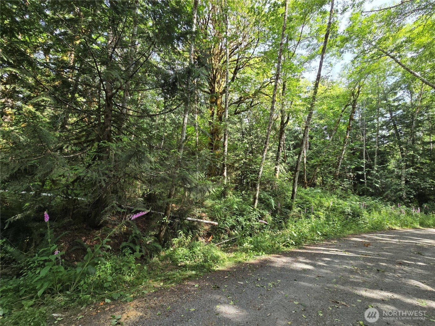 0 XXX Triton Heights Road , Lilliwaup, WA 98555