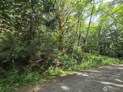 0 XXX Triton Heights Road , Lilliwaup, WA 98555 - Photo 3