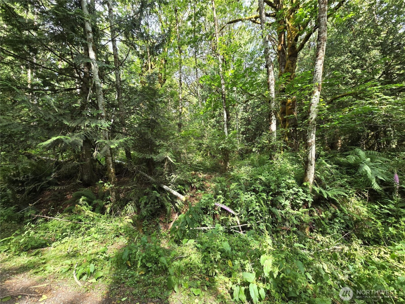 0 XXX Triton Heights Road , Lilliwaup, WA 98555