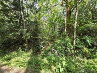 0 XXX Triton Heights Road , Lilliwaup, WA 98555 - Photo 4