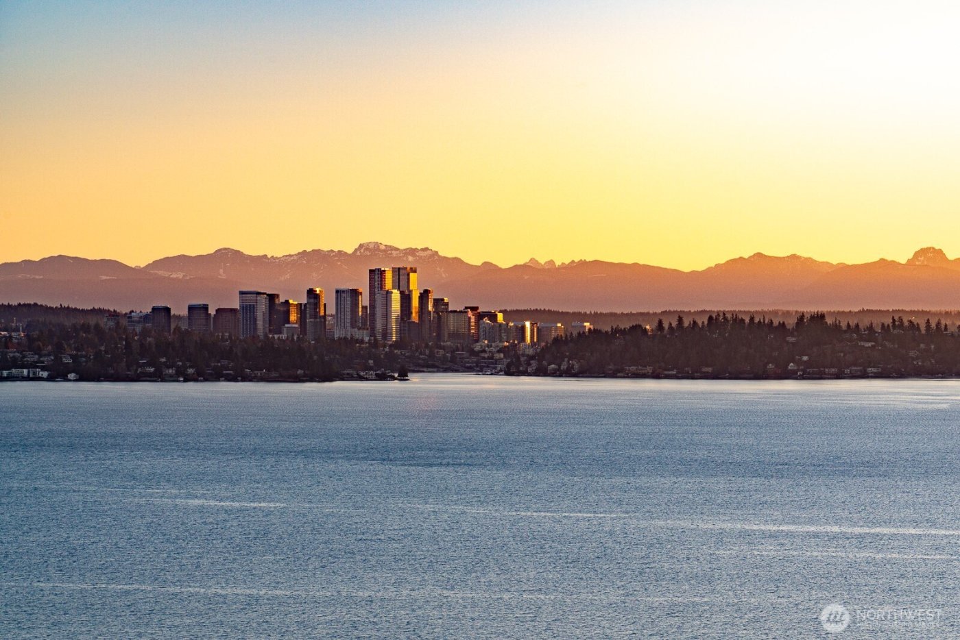 1354 32nd Avenue S, Seattle, WA 98144