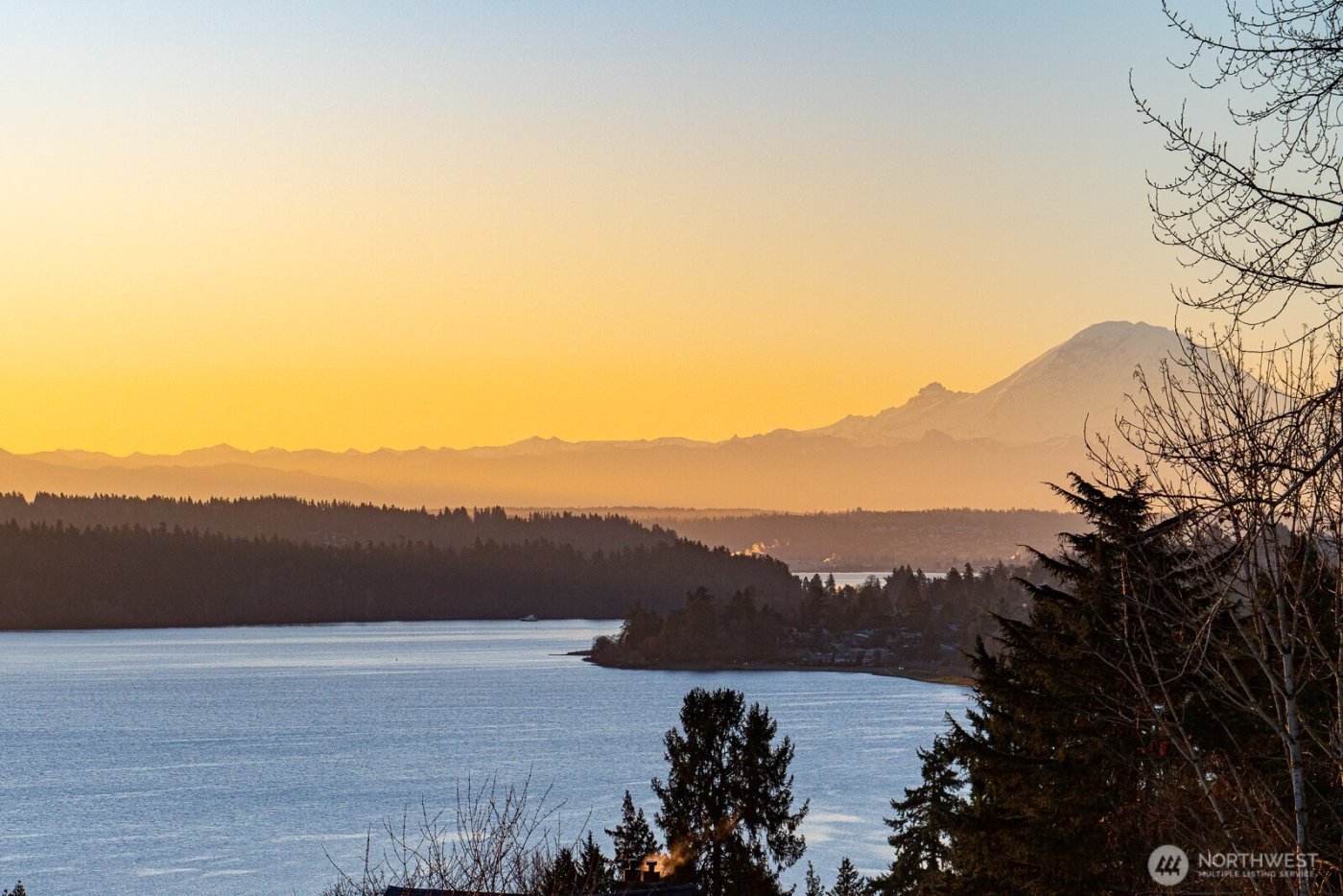 1354 32nd Avenue S, Seattle, WA 98144