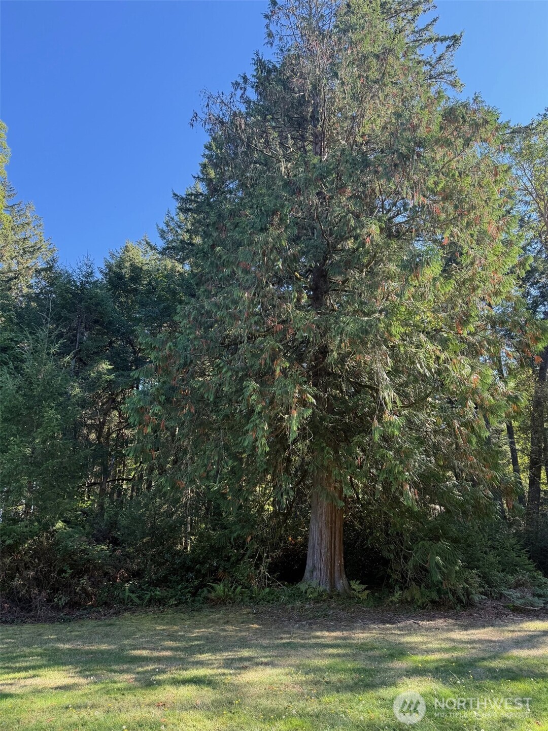 17430 27th Street SW, Lakebay, WA 98349