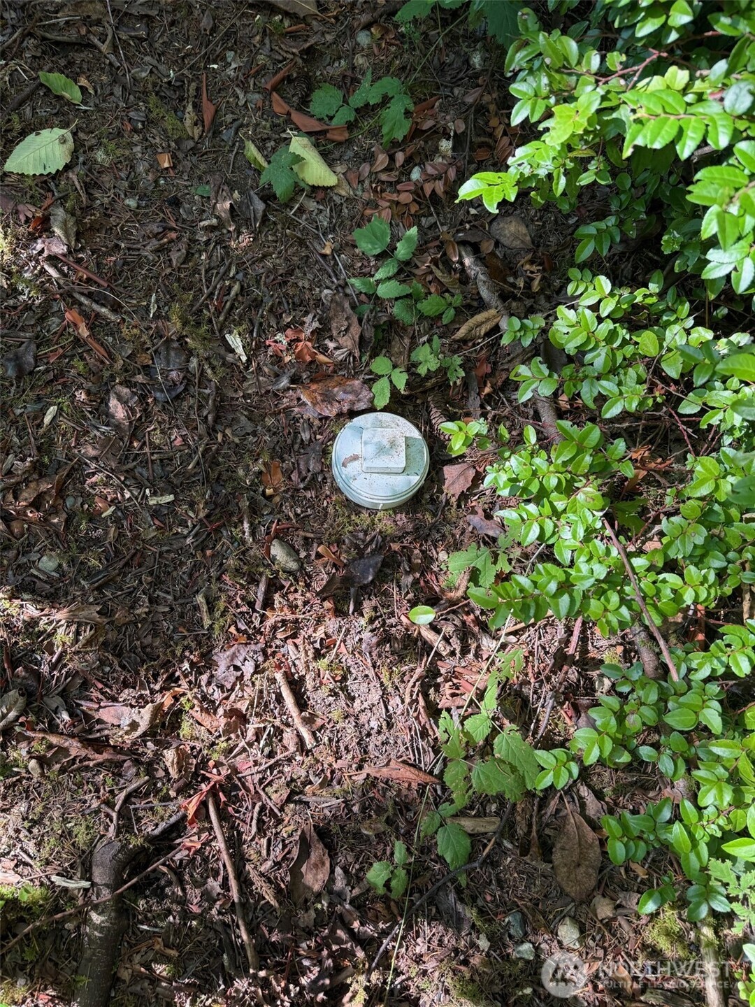 17430 27th Street SW, Lakebay, WA 98349