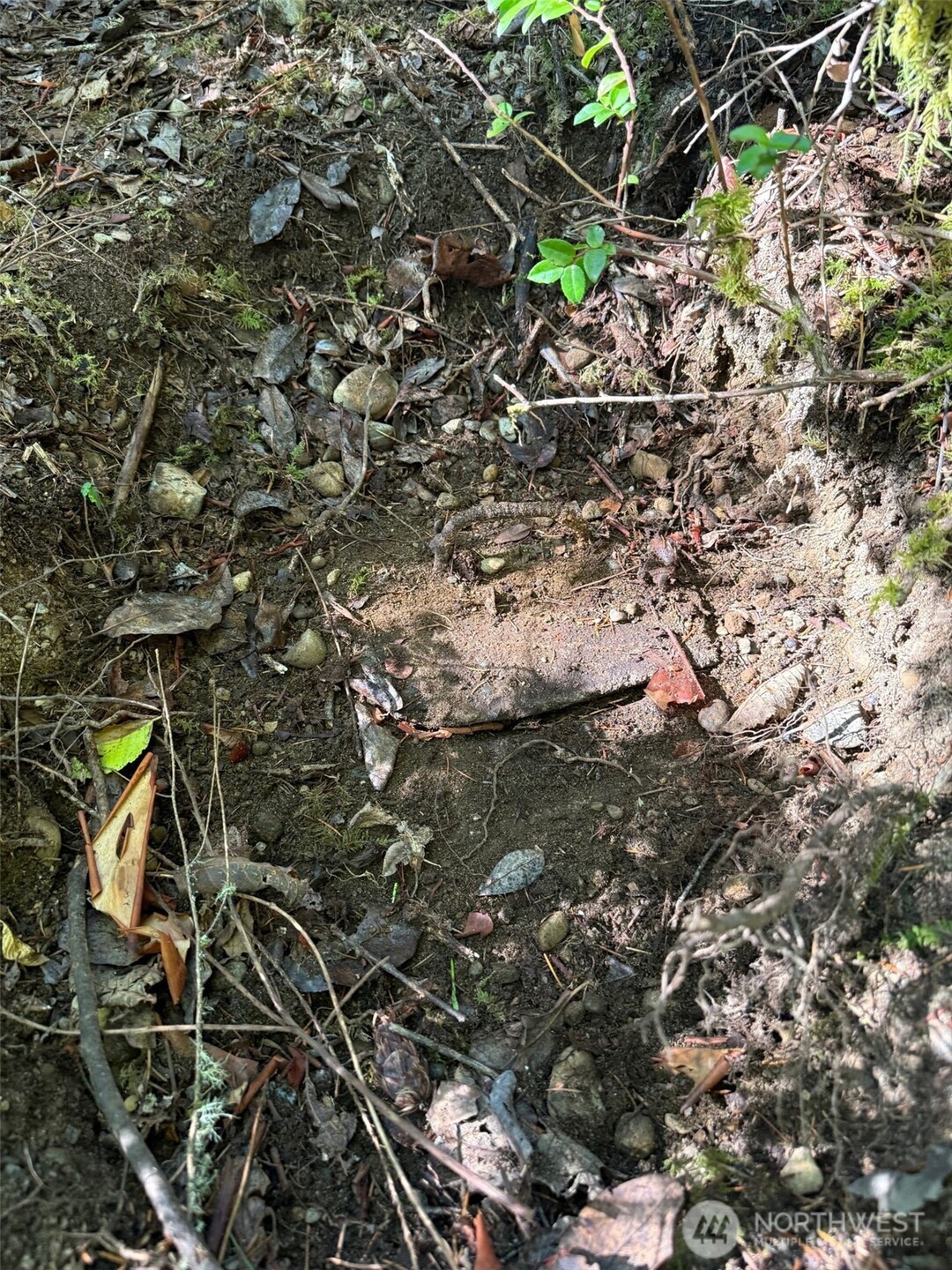 17430 27th Street SW, Lakebay, WA 98349