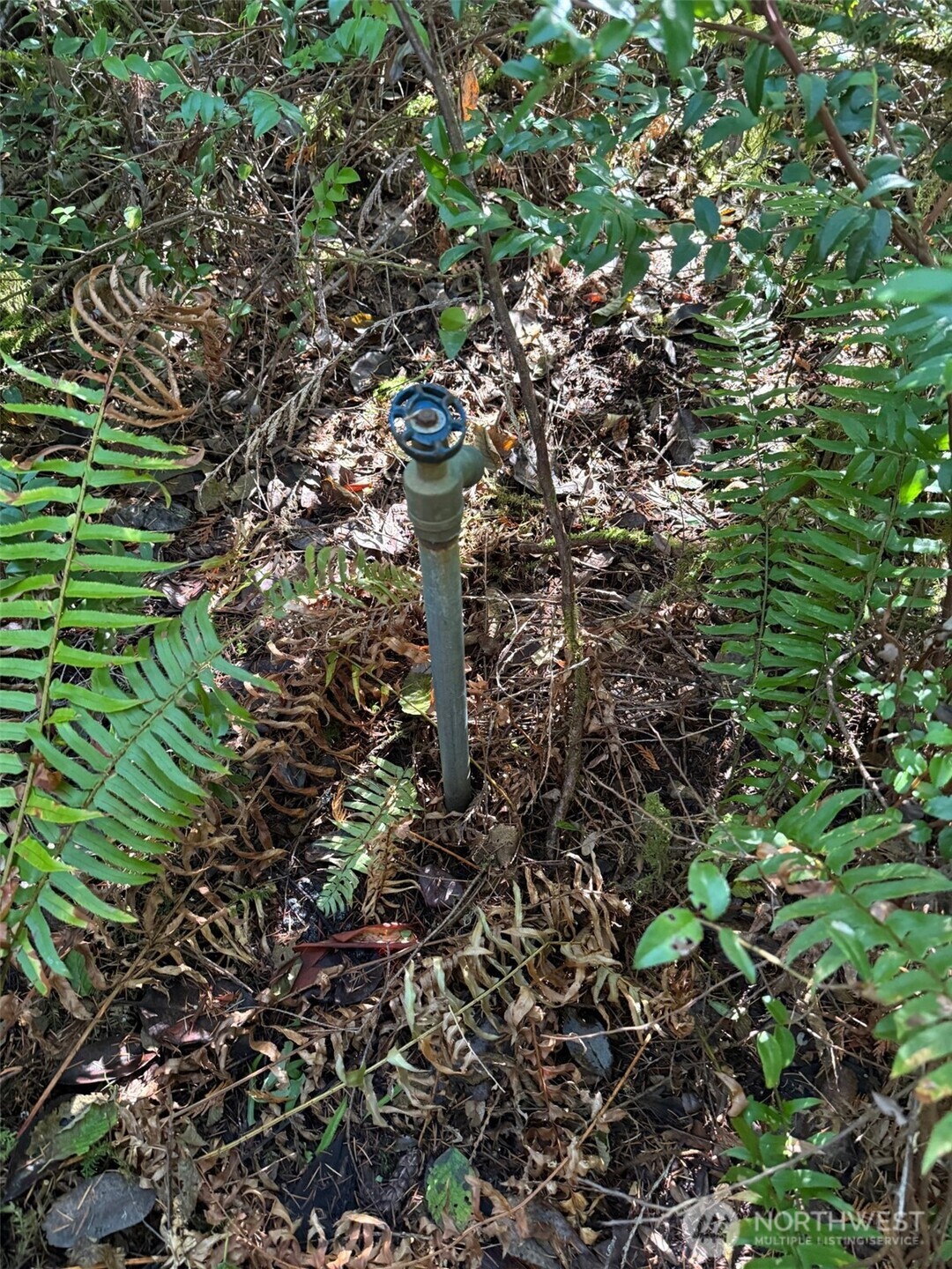 17430 27th Street SW, Lakebay, WA 98349