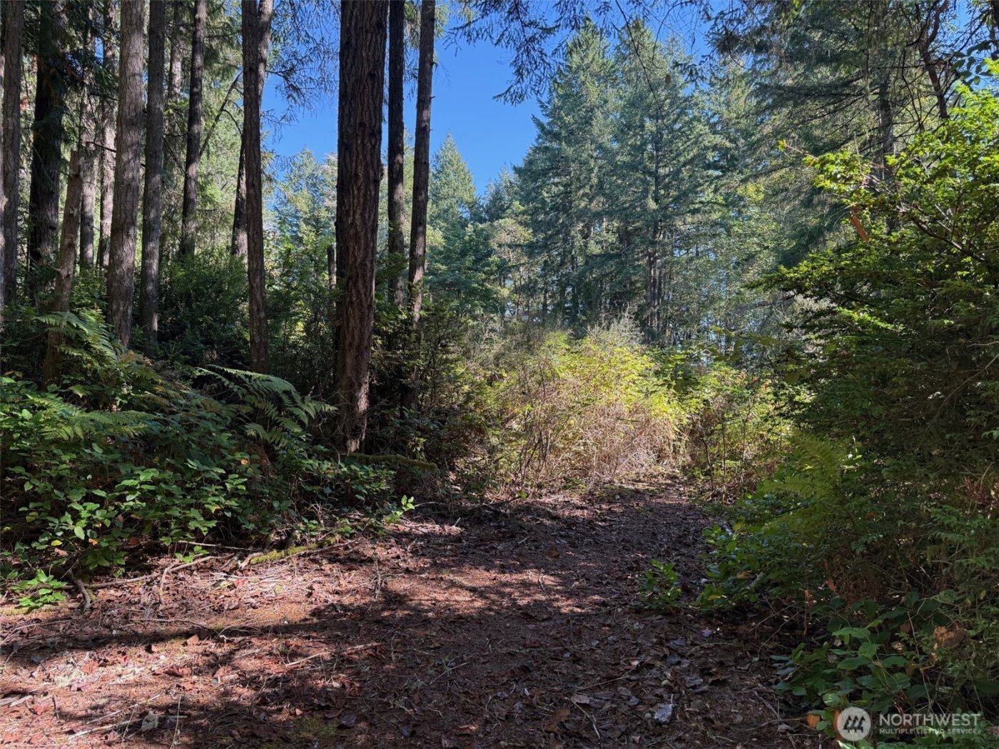 17430 27th Street SW, Lakebay, WA 98349