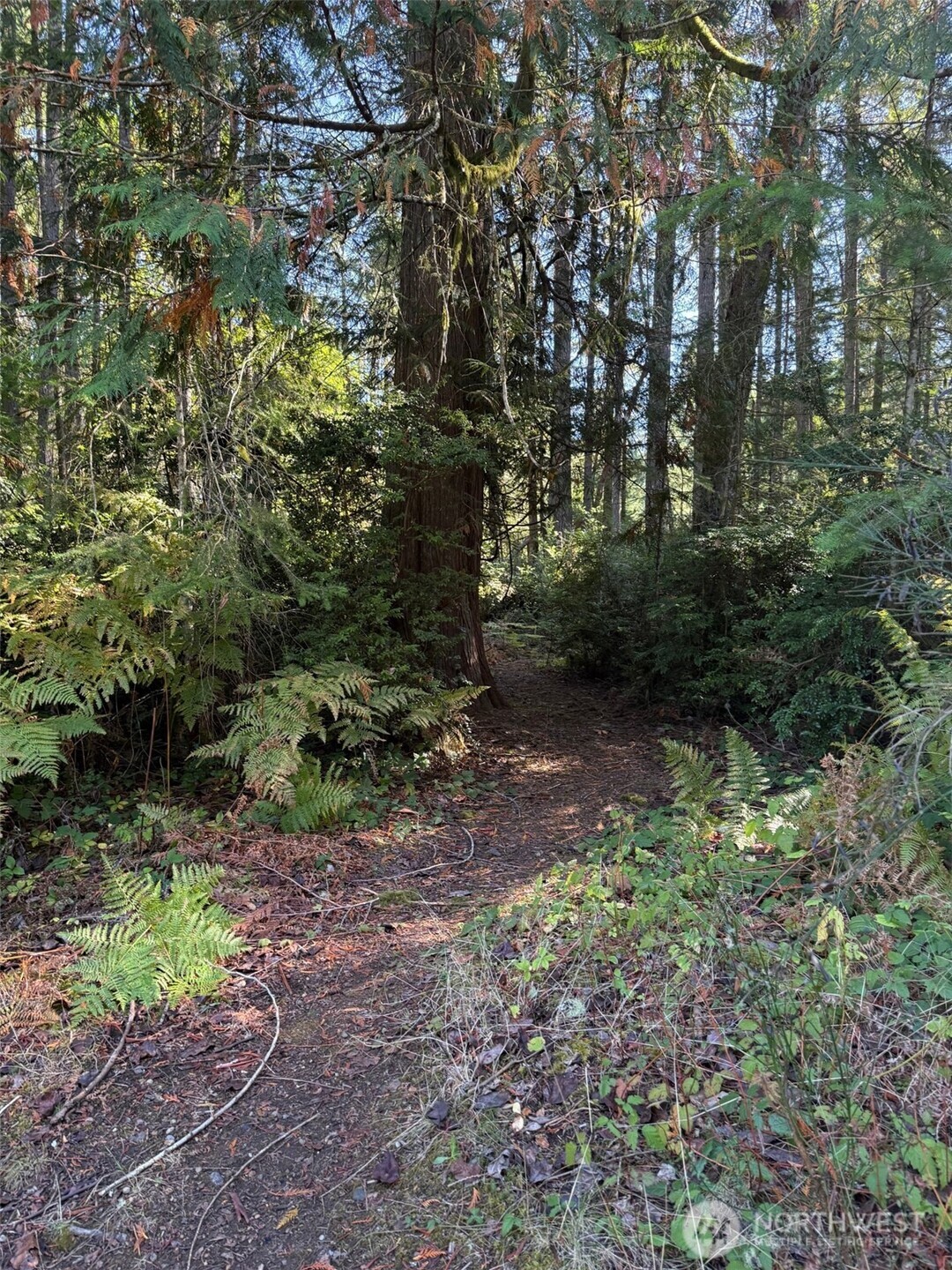 17430 27th Street SW, Lakebay, WA 98349