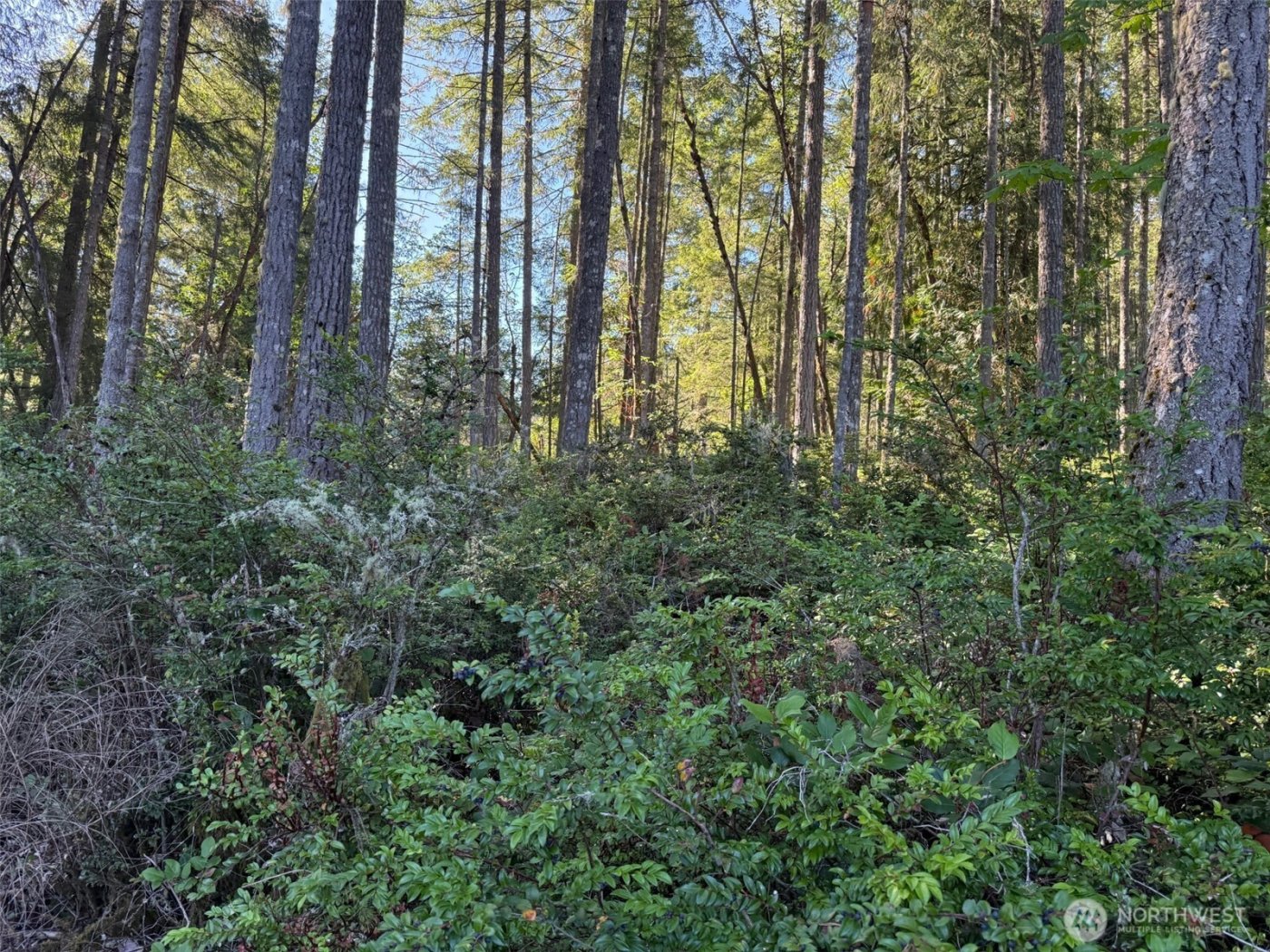 17430 27th Street SW, Lakebay, WA 98349