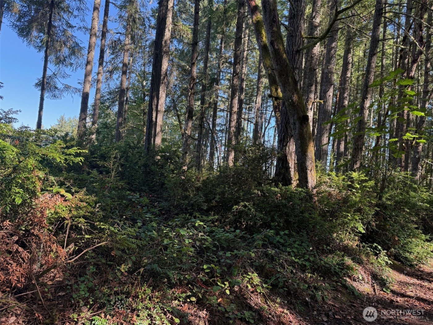 17430 27th Street SW, Lakebay, WA 98349