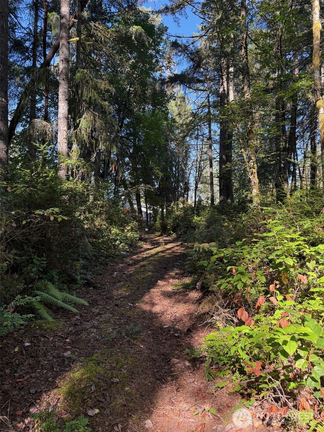 17430 27th Street SW, Lakebay, WA 98349