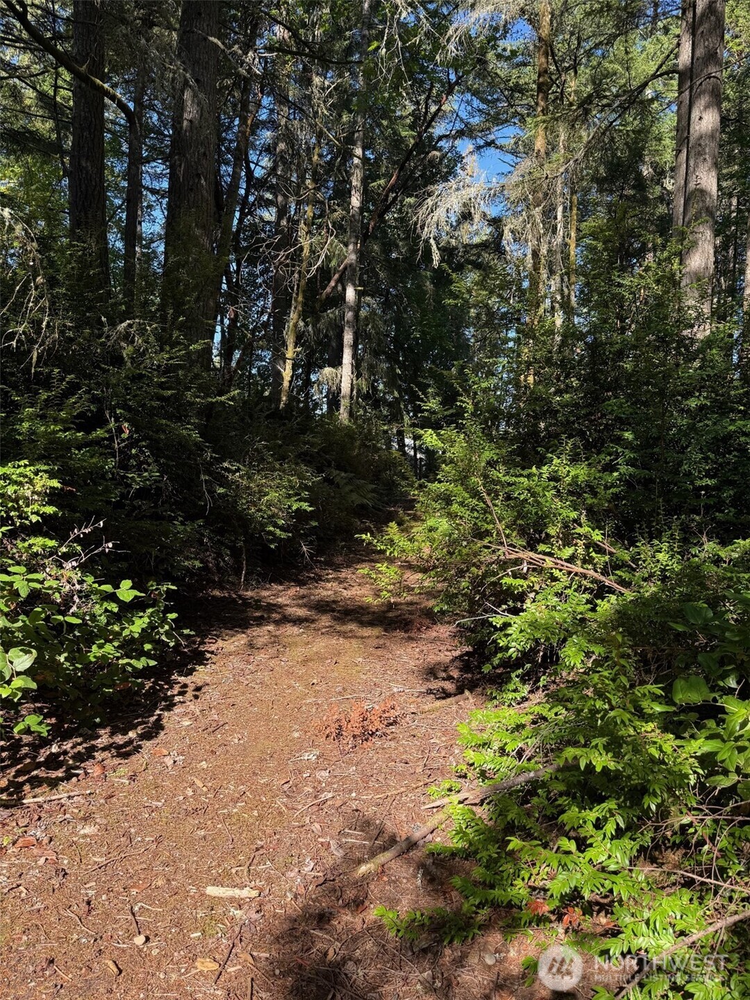 17430 27th Street SW, Lakebay, WA 98349