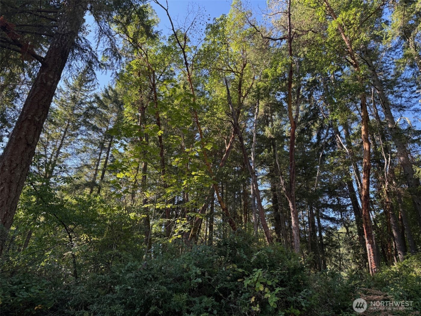 17430 27th Street SW, Lakebay, WA 98349