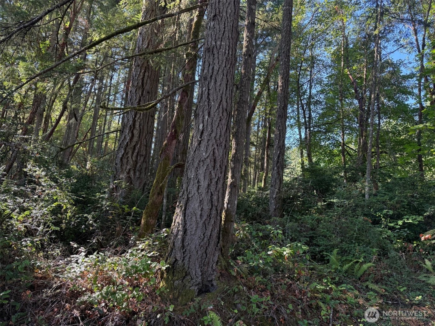 17430 27th Street SW, Lakebay, WA 98349