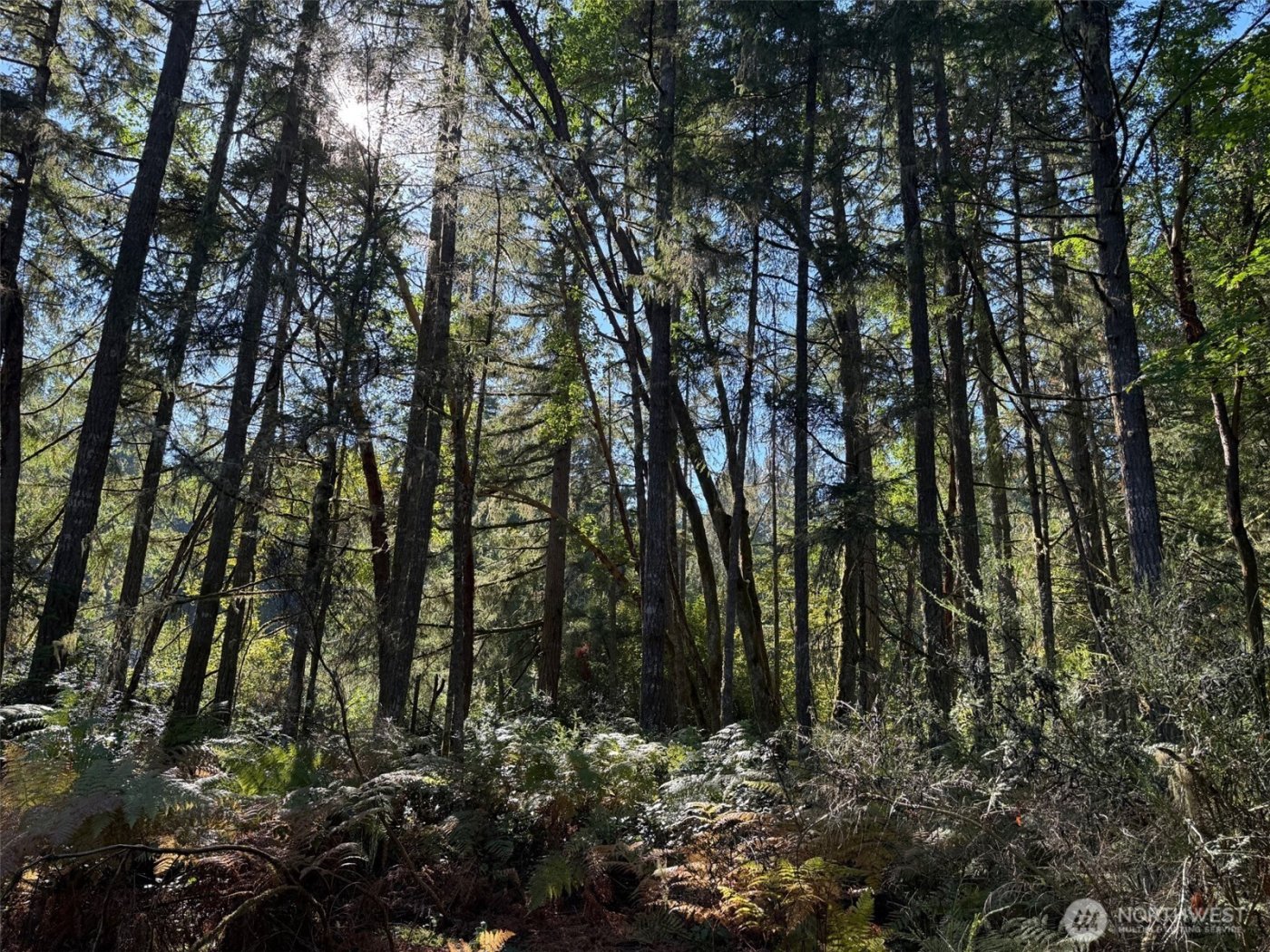 17430 27th Street SW, Lakebay, WA 98349