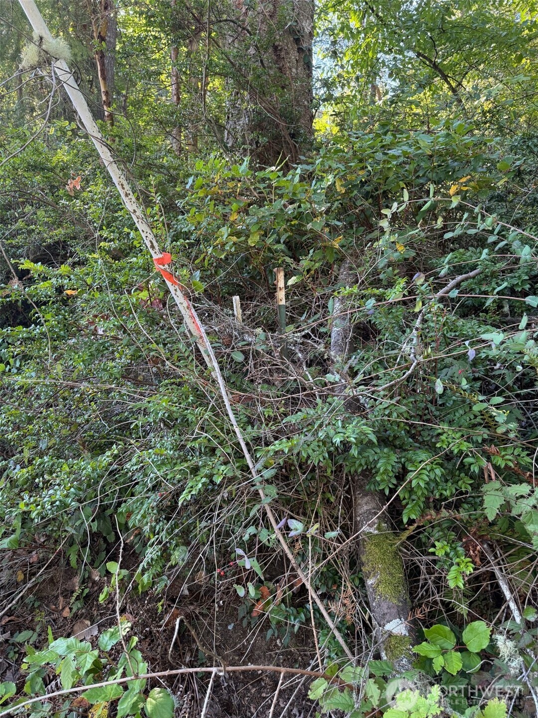 17430 27th Street SW, Lakebay, WA 98349