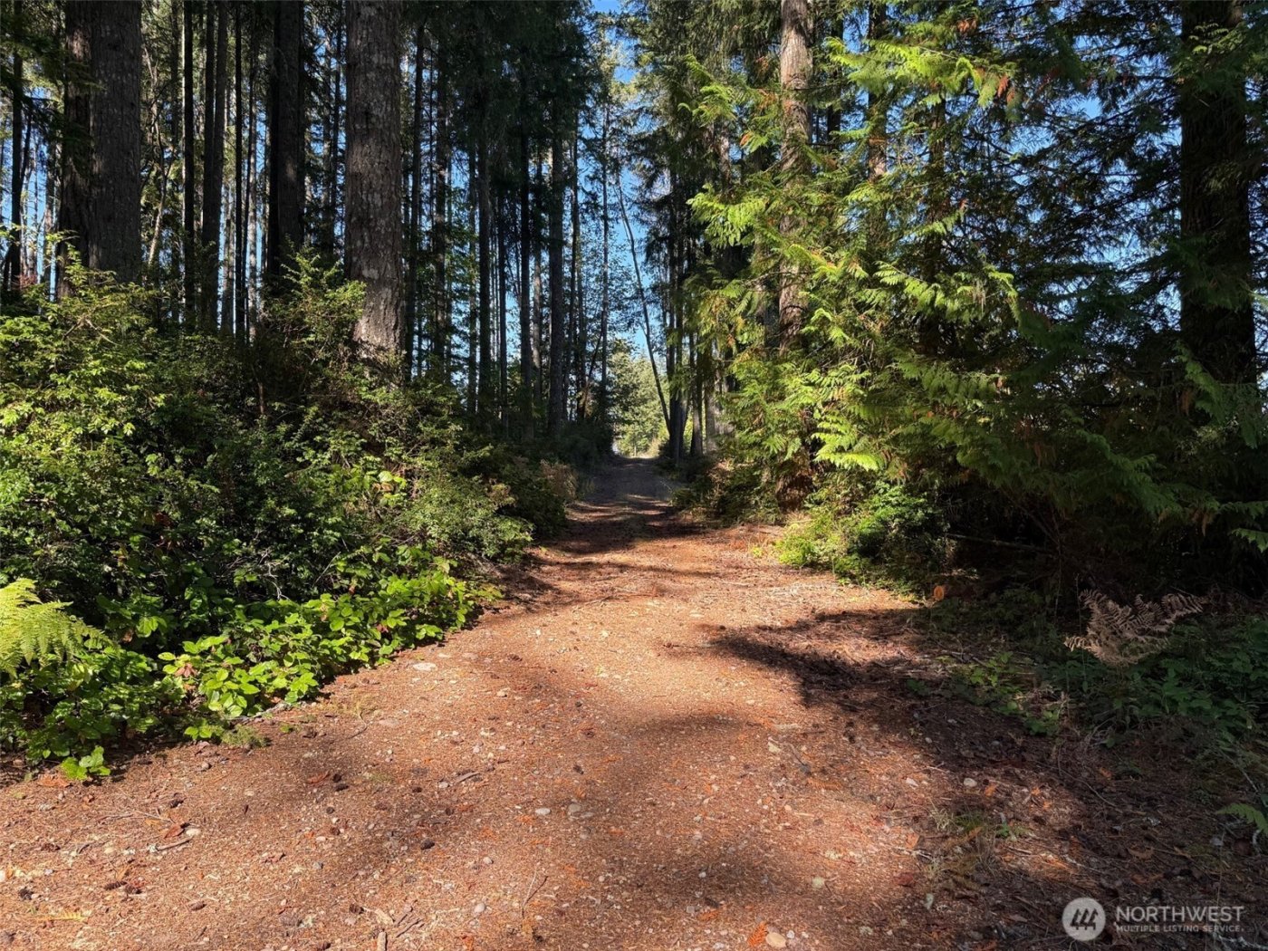 17430 27th Street SW, Lakebay, WA 98349