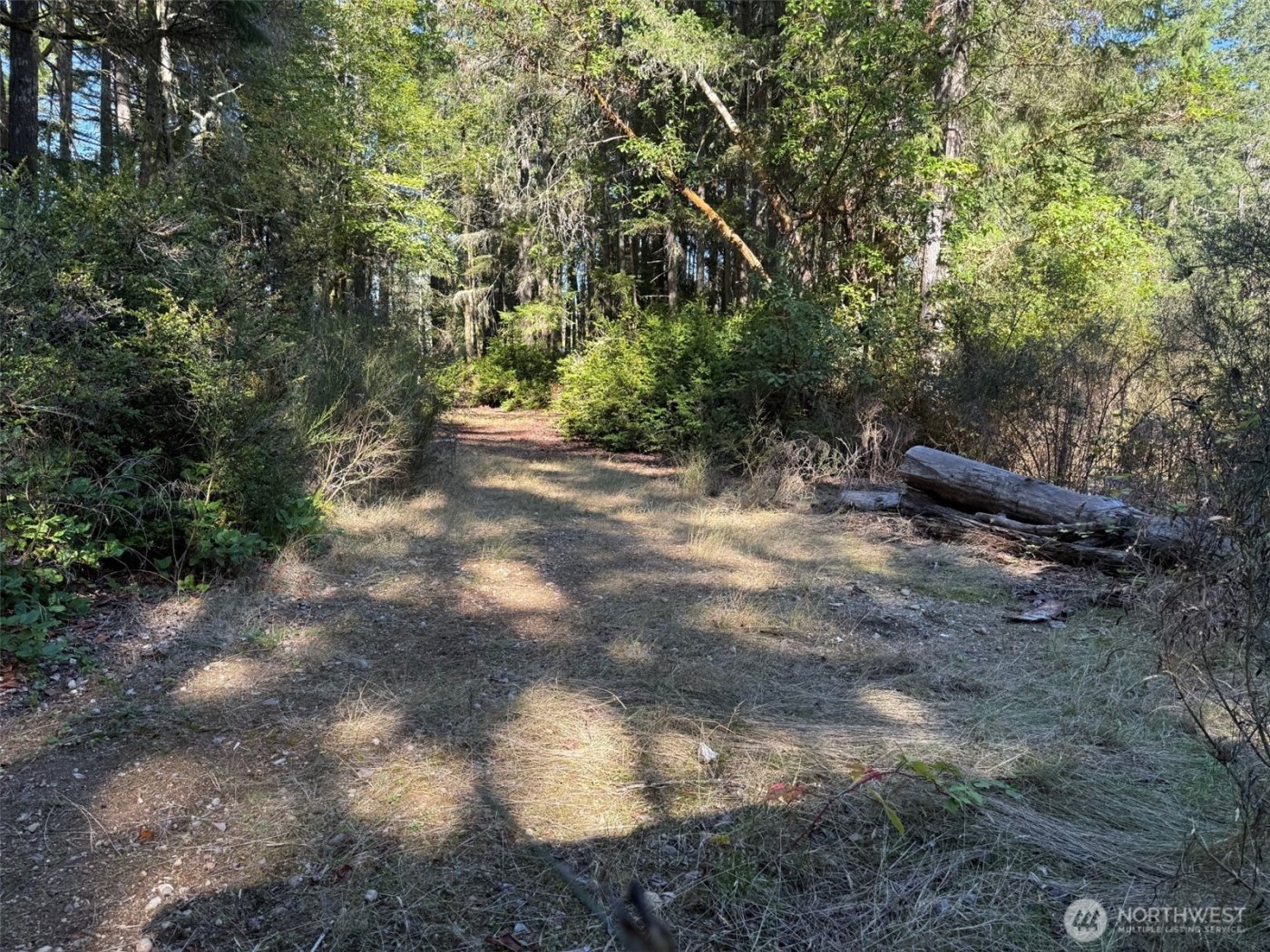 17430 27th Street SW, Lakebay, WA 98349