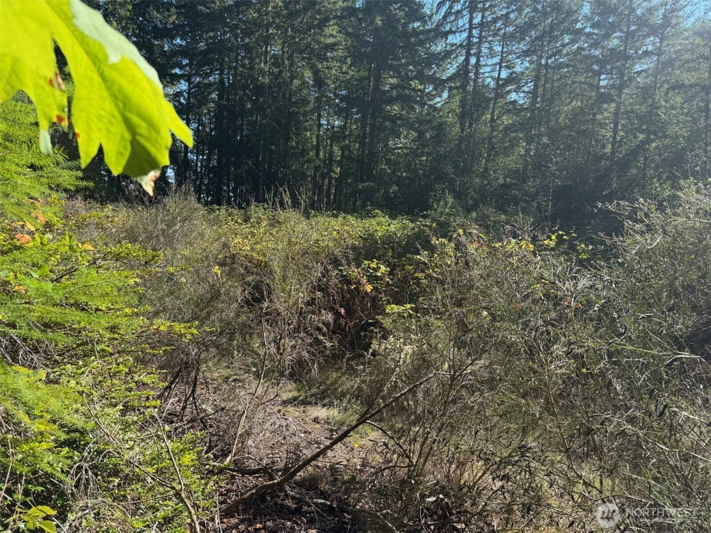 17430 27th Street SW, Lakebay, WA 98349