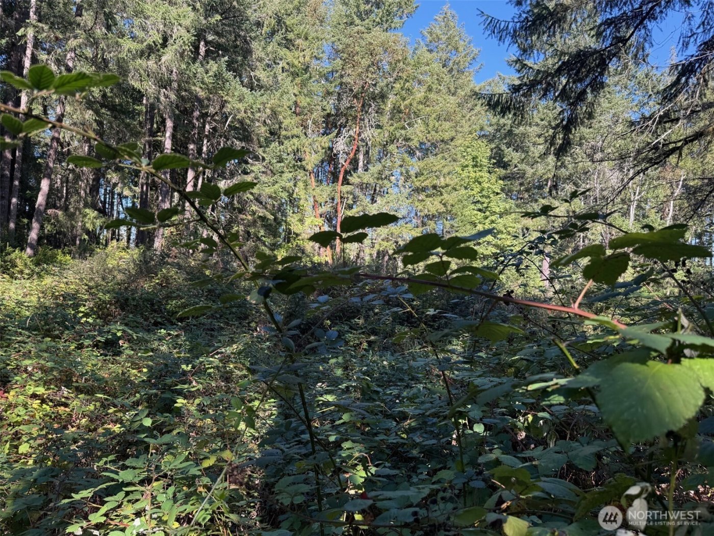 17430 27th Street SW, Lakebay, WA 98349