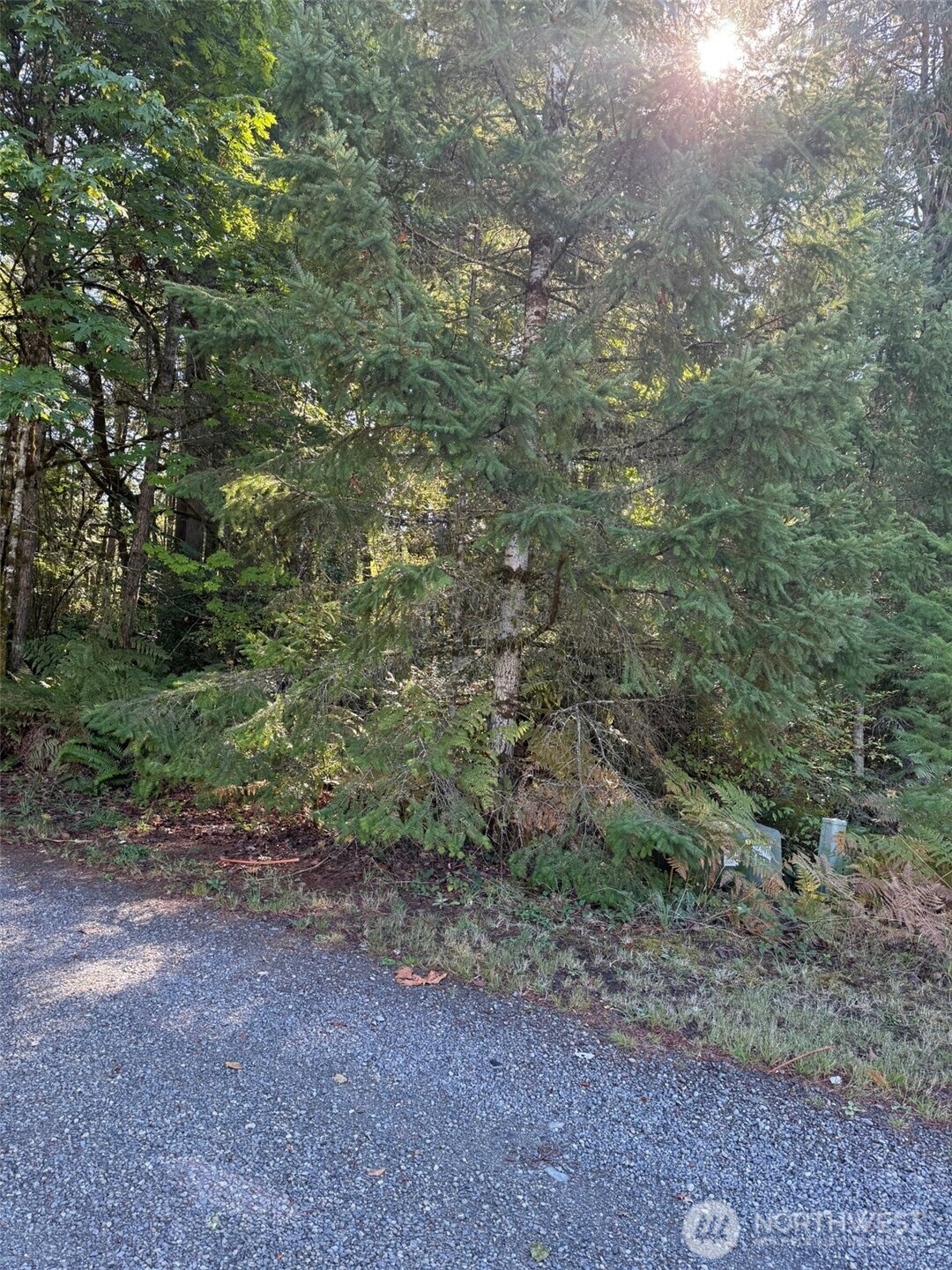 17430 27th Street SW, Lakebay, WA 98349