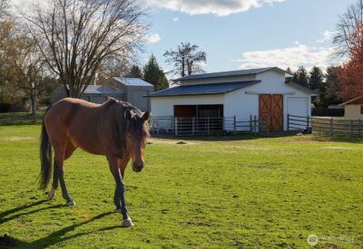 3115 Brisbane Dr , Walla Walla, WA 99362 - Photo 30