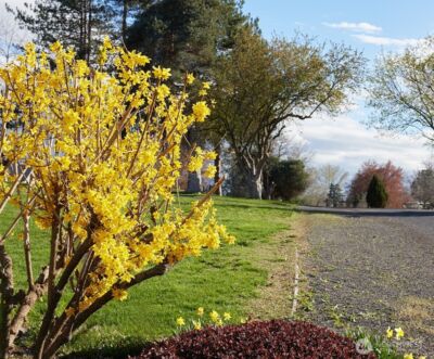 3115 Brisbane Dr , Walla Walla, WA 99362 - Photo 31