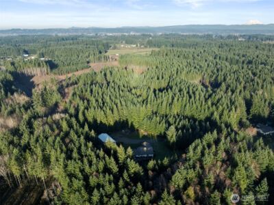 123 Cherry Ln. , Chehalis, WA 98532 - Photo 39