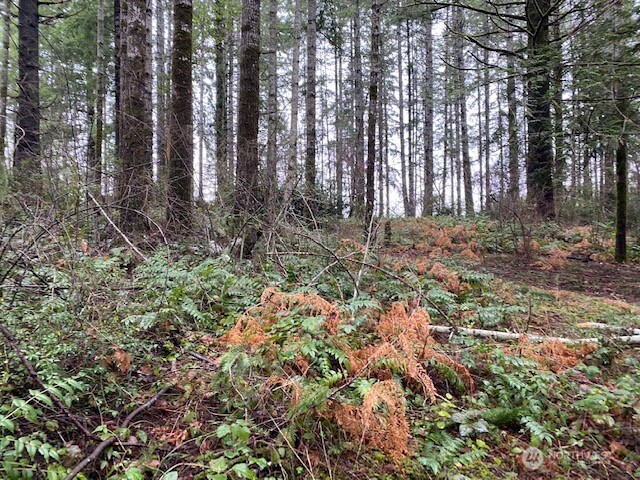 0 Elk Street , Shelton, WA 98584