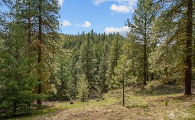 0 Skull Springs Road , Cle Elum, WA 98922