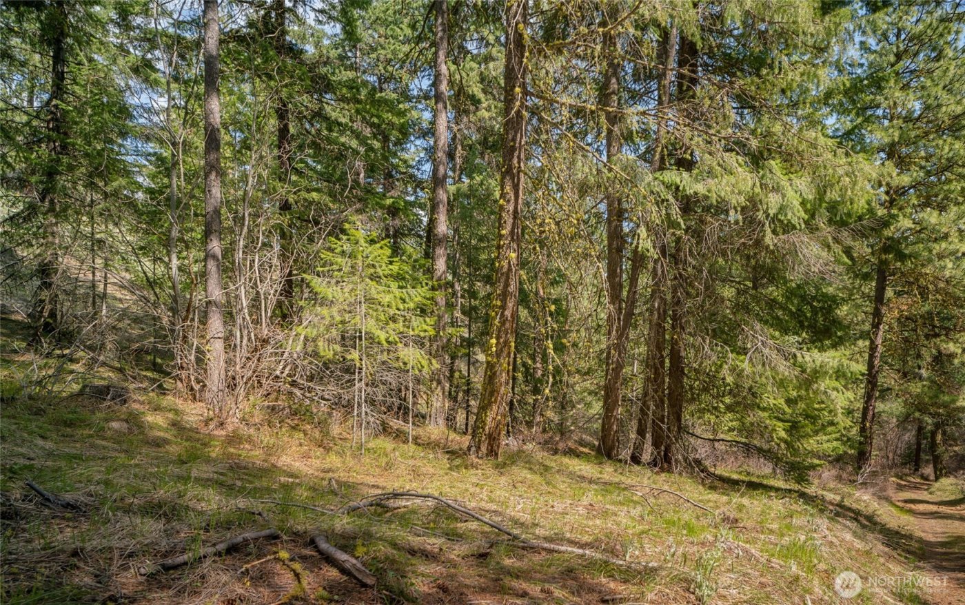 0 Skull Springs Road , Cle Elum, WA 98922