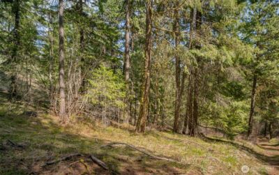 0 Skull Springs Road , Cle Elum, WA 98922 - Photo 2