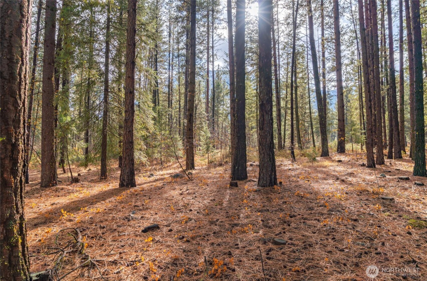 0 Skull Springs Road , Cle Elum, WA 98922